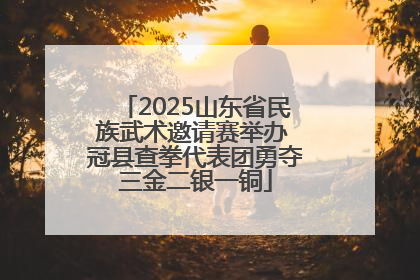 2025山东省民族武术邀请赛举办 冠县查拳代表团勇夺三金二银一铜
