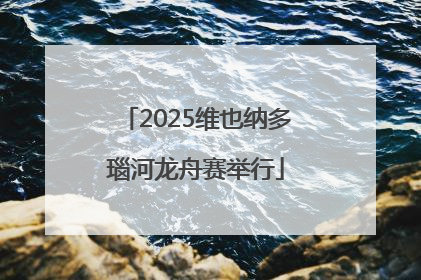 2025维也纳多瑙河龙舟赛举行