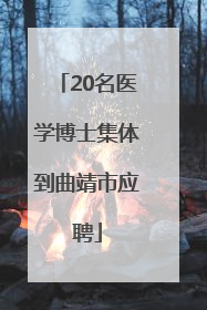 20名医学博士集体到曲靖市应聘