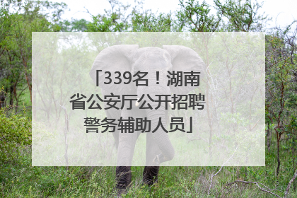 339名！湖南省公安厅公开招聘警务辅助人员