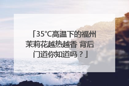 35℃高温下的福州茉莉花越热越香 背后门道你知道吗？