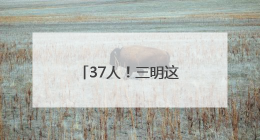 37人！三明这些单位正在选聘、招聘工作人员