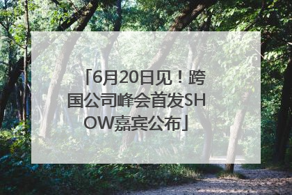 6月20日见！跨国公司峰会首发SHOW嘉宾公布