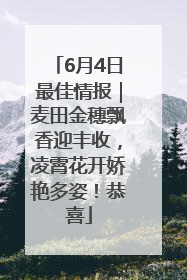 6月4日最佳情报｜麦田金穗飘香迎丰收，凌霄花开娇艳多姿！恭喜