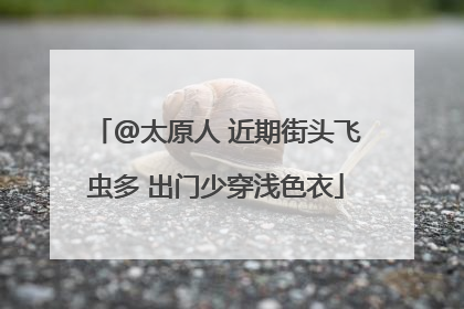 @太原人 近期街头飞虫多 出门少穿浅色衣