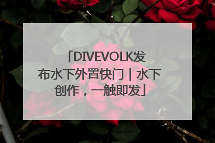 DIVEVOLK发布水下外置快门｜水下创作，一触即发