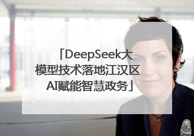 DeepSeek大模型技术落地江汉区 AI赋能智慧政务