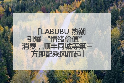 LABUBU 热潮引爆 “情绪价值” 消费，顺丰同城等第三方即配乘风而起