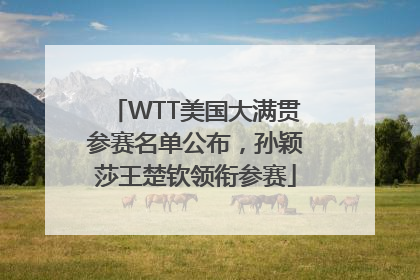 WTT美国大满贯参赛名单公布，孙颖莎王楚钦领衔参赛