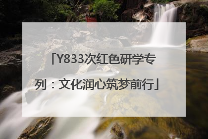 Y833次红色研学专列：文化润心筑梦前行